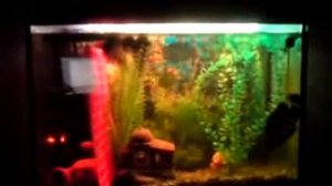 Самодельная RGB подсветка аквариума.