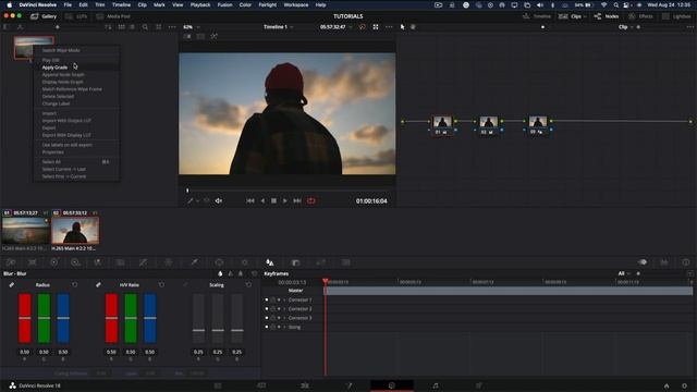 How to Copy and Paste only One Node in DaVinci Resolve | 1 Minute Tutorial смотреть онлайн
