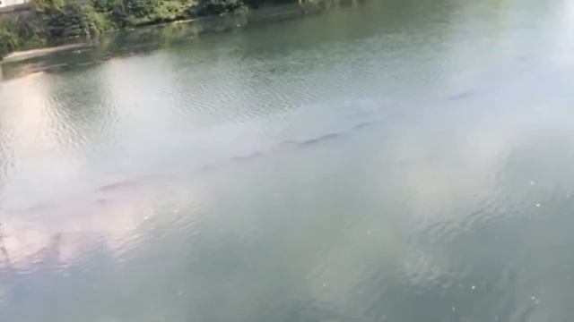 Отзывы о Турине, туристка 3 часа в центре Турина. смотреть онлайн