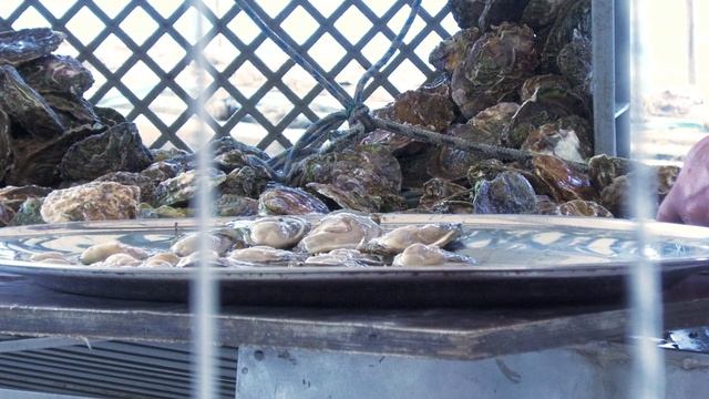 OYSTER LOVERS OF THE WORLD, UNITE! WORLD'S BEST RAW OYSTERS: MALI STON, CROATIA! (4K) смотреть онлайн