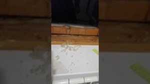 Как удалить присохшую плёнку с ПВХ окна, подоконника, двери за 5 минут. Самый простой способ.