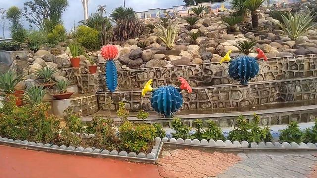 Cactus garden-PART-4 смотреть онлайн