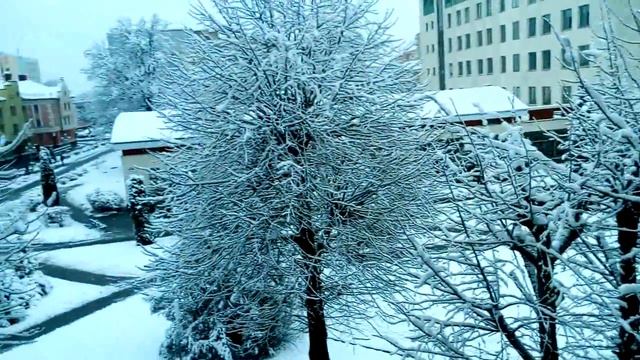 Первый снег выпал за ночь) Такой долгожданный) Эмоции переполняют)