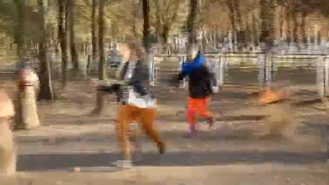 Визитка. Мисс Осень 2014 смотреть онлайн