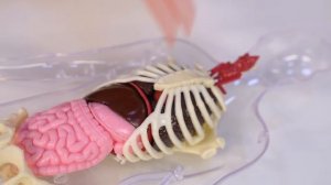 KyKyPlay - ШКОЛА - Как мальчик полюбил биологию - Изучаем Человека с Кукутиками