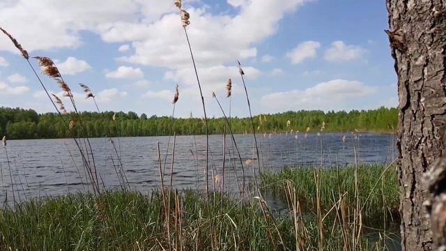 4 минуты с места силы. Озеро Светлояр смотреть онлайн