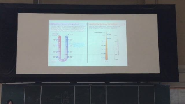 Физиология почек Ч2 смотреть онлайн