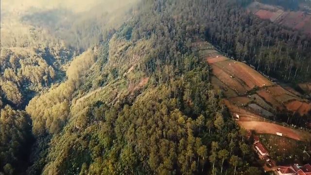 Расслабляющие звуки леса,пение птиц, звуки природы для медитации, релаксации, сна Meditation смотреть онлайн