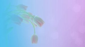 Футаж. Цветочный фон 73