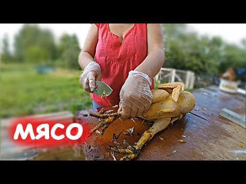 ОБРАТНАЯ СТОРОНА ДЕРЕВЕНСКОЙ ЖИЗНИ // ЗАБОЙ смотреть онлайн