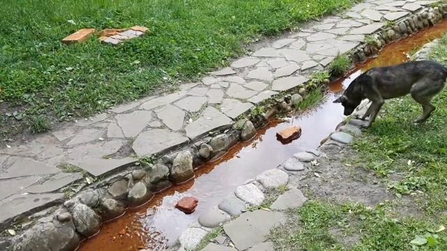 Новомосковск. Исток реки Дон. Детский парк имени Д.Г. Оники. Июнь 2022 года. смотреть онлайн