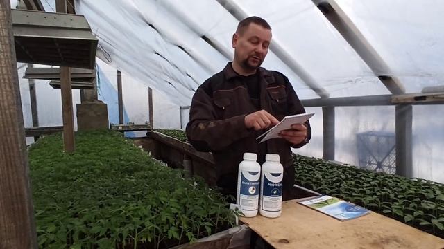 Forcrop . RADIX TIM FORTE +