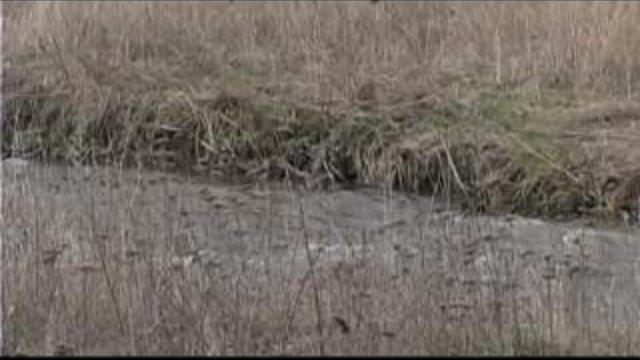 Stargate: Atlantis - X File