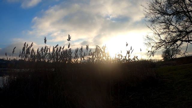 9 учений Конфуция, которые изменят ваши жизненные приоритеты. смотреть онлайн