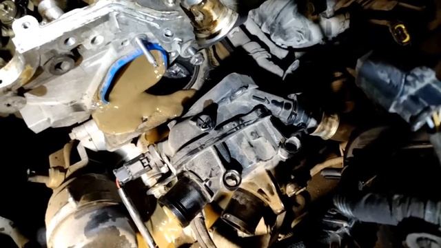 Волшебство в каждой порции желе