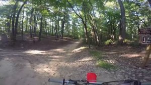 Honda CRF150 RB First Ride
