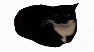 Мемный Кот Танцует