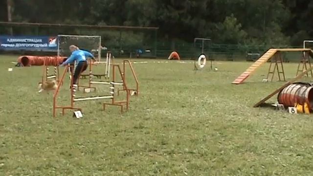 ЧР РКФ 2009, шпиц из Перми смотреть онлайн