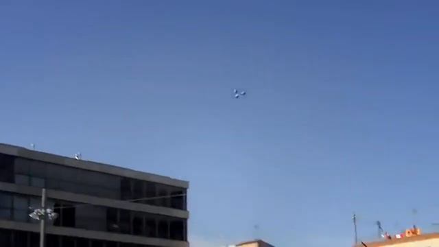 Живые Angry Birds, смотреть всем!) смотреть онлайн