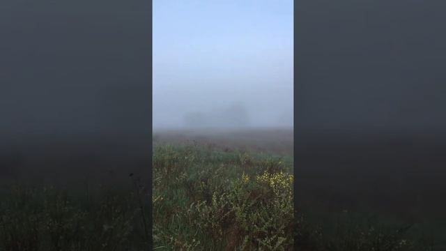 Туман на Агеевой горе смотреть онлайн