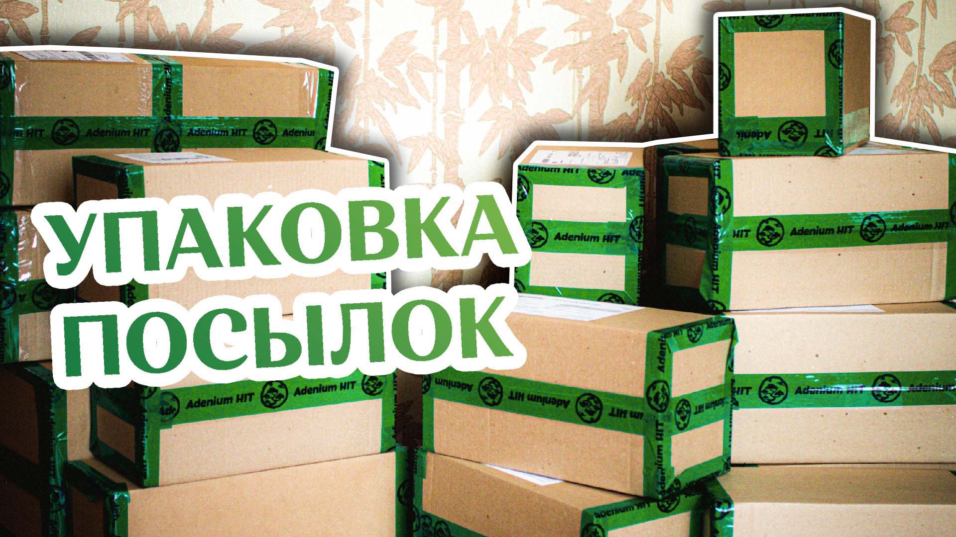 Как Происходит Отправка Адениумов