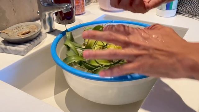 Tillandsia / Airplants care and propagation смотреть онлайн