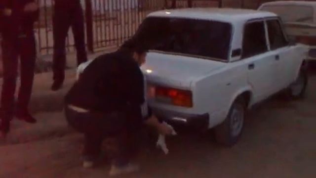 Я сам офигел когда увидел это видео на мамином телефоне смотреть онлайн