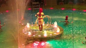 Цирк на воде. Шевченко шоу.Водное шоу.