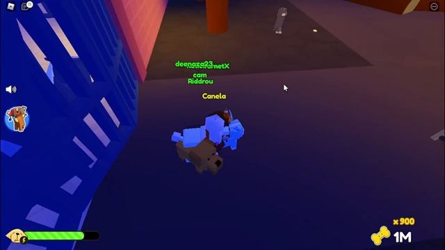 Danger At The Zoo (Pet Story: Zoo Ending) смотреть онлайн