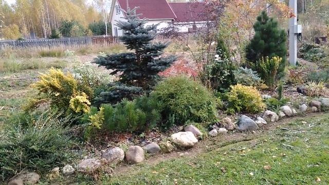 Хвойники и деревья в осеннем саду 2020 смотреть онлайн