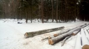 Т-40 на трех колесах от комбайна на трелевке