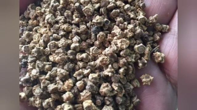 артишок и шпинат смотреть онлайн