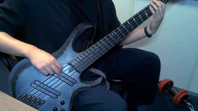 【ベースで】『フォニイ』-ツミキ【弾いてみた】 смотреть онлайн