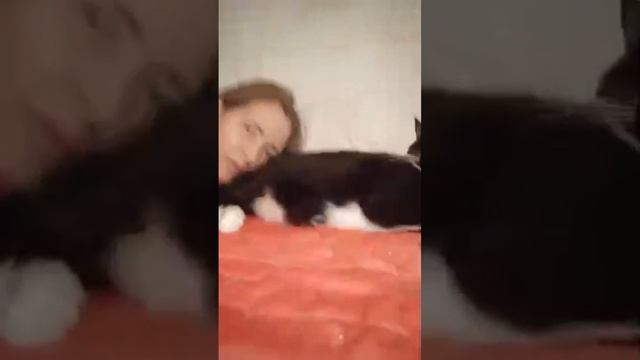 Котик Бантик ( Пуаро) Ищет Дом. Приют Петербург смотреть онлайн