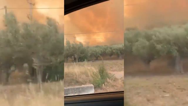 СРОЧНО 🔥 ЛЕСА ГОРЯТ И В ИТАЛИИ 02.08.2021 смотреть онлайн