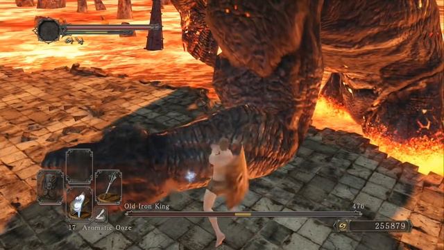 Dark Souls 2 Speedrun (1:29:55)