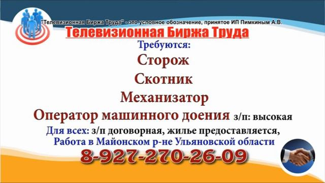08 12 20 РАБОТА В УЛЬЯНОВСКЕ Телевизионная Биржа Труда 33 смотреть онлайн