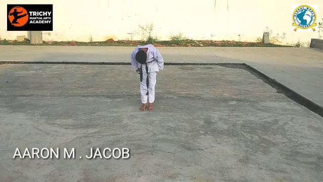 AARON M. JACOB PERFORMING KARATE FOR GLOBAL WORLD RECORD ONLINE EVENT 2020 смотреть онлайн