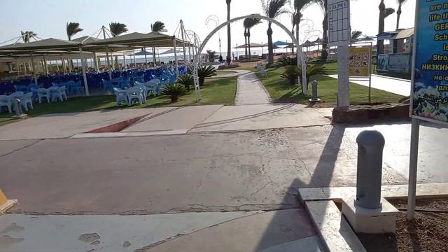 ROYAL ALBATROS MODERNA 5* октябрь  отзыв