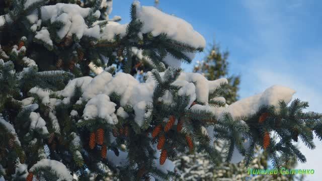 Зимняя сказка. смотреть онлайн