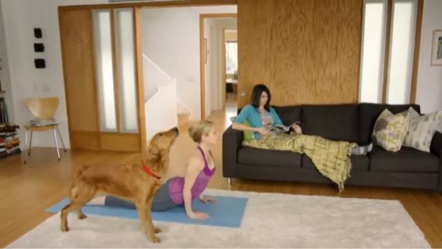 Purina ONE Smart Blend смотреть онлайн