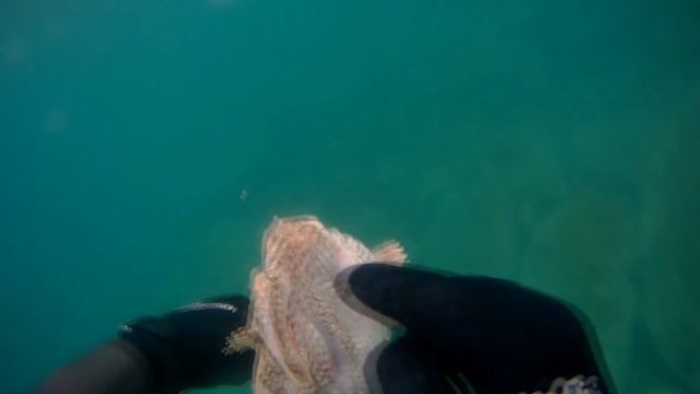 МОРСКОЙ ЧЕРТ. angler смотреть онлайн