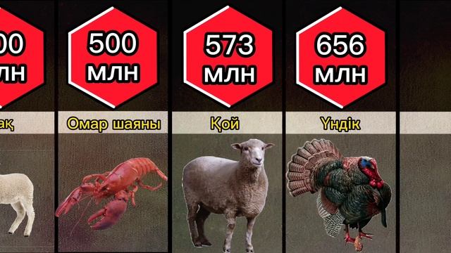 Адамдар жылына қанша жануар жейді?#қазақша #жануар смотреть онлайн