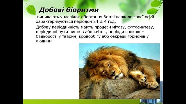 Урок 16. Адаптивні біологічні ритми. смотреть онлайн