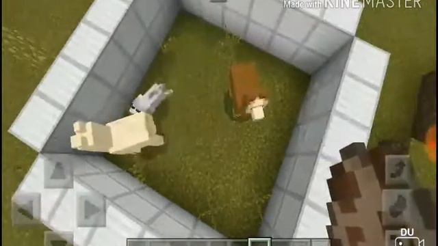 Ламы в майнкрафт пе -||- minecraft pe смотреть онлайн
