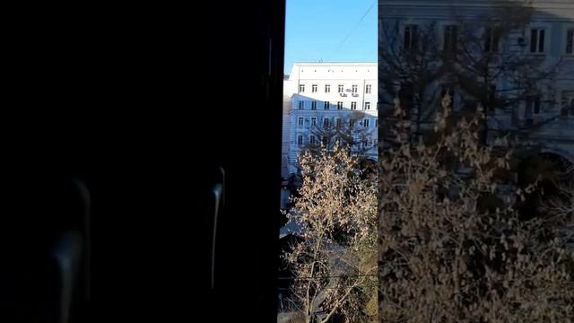 квартира в аренду на длительный срок Москва смотреть онлайн