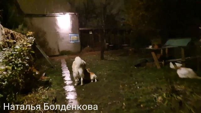 Снесли сарай//Хлеб без хлебопечки//Дела хозяйские смотреть онлайн