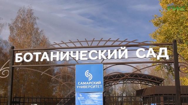 Как попасть в ботанический сад в выходные и почему там нельзя собирать плоды барбариса смотреть онлайн
