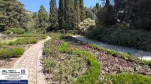 Никитский Ботанический Сад в Ялте, куда все хотят попасть❗️