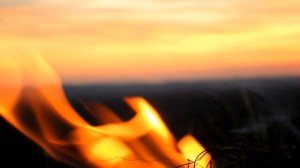 Догорай, гори моя лучина.